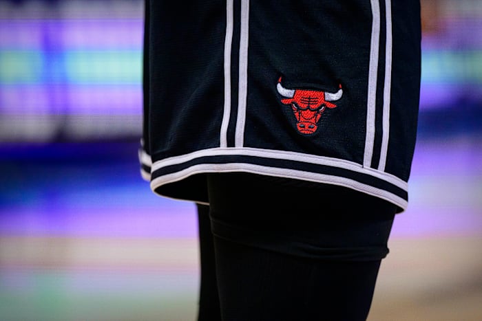 The Chicago Bulls logo